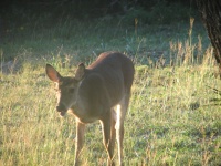 20100206 536.JPG